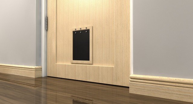 Cat Flap Installation Hounslow, Lampton, TW3