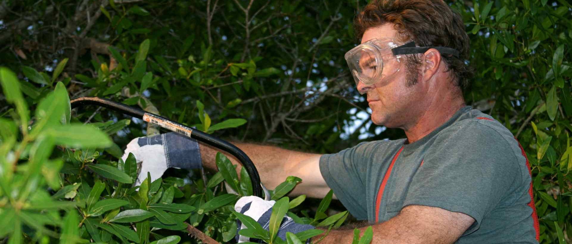 garden clearance TW3